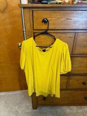 W5 Women's Mustard Yellow Textured Swiss Dot Puff Sleeve Top